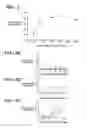 Fig. 02 - Sialoadhesin-related compositions and methods