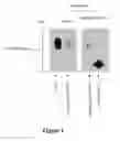 Fig. 02 - Stable immunogenic product comprising antigenic heterocomplexes