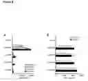 Fig. 09 - TLR7 ligand and uses thereof
