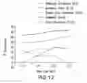 Fig. 33 - TUMOR SUPPRESSION USING PLACENTAL STEM CELLS