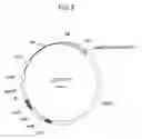 Fig. 09 - PUFA Polyketide Synthase Systems and Uses Thereof
