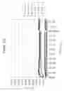 Fig. 06 - METHODS, KITS AND COMPOSITIONS PERTAINING TO LINEAR BEACONS