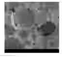 Fig. 01 - SOLVENT-BASED INFILTRATION OF POROUS STRUCTURES