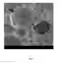 Fig. 06 - SOLVENT-BASED INFILTRATION OF POROUS STRUCTURES