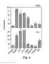 Fig. 04 - Polynucleotide constructs, pharmaceutical compositions and methods for targeted downregulation of angiogenesis and anticancer therapy
