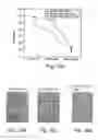 Fig. 09 - Polynucleotide constructs, pharmaceutical compositions and methods for targeted downregulation of angiogenesis and anticancer therapy