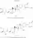 Fig. 294 - COMPOUNDS USEFUL FOR TREATING NEURODEGENERATIVE DISORDERS