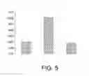 Fig. 06 - METHODS AND SYSTEMS FOR ASSESSING FINANCIAL PERSONALITY