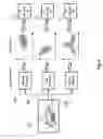 Fig. 07 - Enhanced learning and recognition operations for radial basis functions
