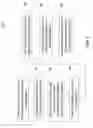 Fig. 06 - Distributed system having a shared central database