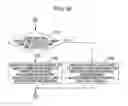 Fig. 31 - Content providing system, content providing apparatus and method, content distribution server, and content receiving terminal