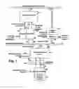 Fig. 02 - Hierarchical configurations in error-correcting computer systems