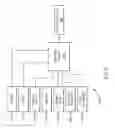 Fig. 04 - Visualization tool for qPCR genotyping data