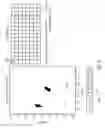 Fig. 10 - Visualization tool for qPCR genotyping data
