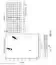 Fig. 11 - Visualization tool for qPCR genotyping data