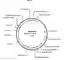 Fig. 05 - Transgenic plants with enhanced agronomic traits