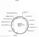 Fig. 07 - Transgenic plants with enhanced agronomic traits