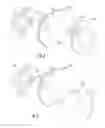 Fig. 07 - Roofing glove