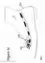 Fig. 06 - Apparel for a foot with multiofitting and multi-purpose capabilities
