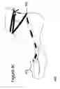Fig. 09 - Apparel for a foot with multiofitting and multi-purpose capabilities