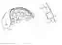 Fig. 01 - Rebound-dampening headgear liners with positioning feature