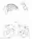 Fig. 02 - Rebound-dampening headgear liners with positioning feature