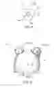 Fig. 03 - COVER FOR USE WITH HELMETS AND METHOD