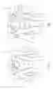Fig. 02 - COMPRESSION UNDERGARMENT