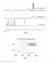 Fig. 03 - Functionalized nanoparticles and methods of forming and using same