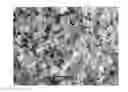 Fig. 01 - Titania composite and preparing method thereof
