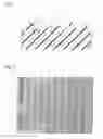 Fig. 02 - RELEASE FILM AND PROCESS FOR PRODUCING LIGHT EMITTING DIODE