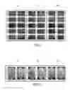 Fig. 09 - Image processing method and apparatus