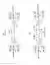 Fig. 02 - Cladding-pumped optical amplifier having reduced susceptibility to spurious lasing