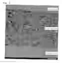 Fig. 04 - Polarizing plate having ultraviolet shielding layer containing inorganic fine particles and image display apparatus comprising the same