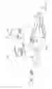 Fig. 07 - Single rotor ducted fan