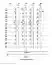 Fig. 02 - Programming methods for a memory device