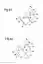 Fig. 05 - Blades