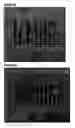 Fig. 08 - NOVEL METHODS AND ANTIBODIES FOR TREATING CANCER