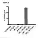 Fig. 22 - NOVEL METHODS AND ANTIBODIES FOR TREATING CANCER