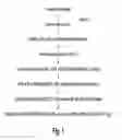 Fig. 02 - ANTIBODY FORMULATION