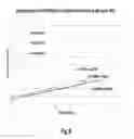 Fig. 07 - ANTIBODY FORMULATION