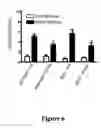 Fig. 08 - Methods Of Treating And Preventing Glucose Toxicity