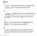 Fig. 09 - CD37-binding molecules and immunoconjugates thereof