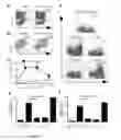 Fig. 02 - Use of an IL-12 receptor splice variant and molecular assay to quantify expression thereof