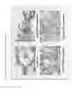 Fig. 08 - METHODS FOR ENHANCING IMMUNE RESPONSE