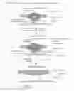 Fig. 14 - METHODS FOR ENHANCING IMMUNE RESPONSE