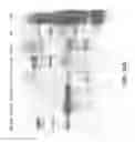 Fig. 11 - Multivalent vaccines comprising recombinant viral vectors