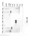 Fig. 13 - Multivalent vaccines comprising recombinant viral vectors
