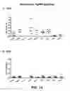 Fig. 17 - Multivalent vaccines comprising recombinant viral vectors