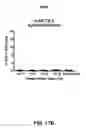 Fig. 23 - Multivalent vaccines comprising recombinant viral vectors